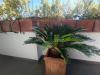 Casa indipendente in vendita con giardino a Montignoso in via del conte 30 - cinquale - 02, 37.jpg