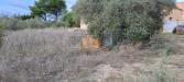 Terreno Agricolo in vendita a Marsala in contrada casazze - 02, 401591369_717581240417779_1379496798509434106_n.jp