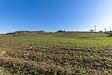 Terreno Agricolo in vendita nuovo a Centuripe in strada provinciale 23b - 03, Casa con terreno Catenanuova (3).jpg