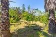 Casa indipendente in vendita con giardino a Acireale in via roccamena 84 - 06, Via Roccamena 84 Acireale (8).jpg