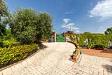 Villa in vendita con giardino a Aci Catena in via brinzio 20 - 04, Via Brinzio 20 Acicatena (3).jpg