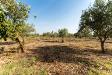 Terreno Agricolo in vendita a Carlentini in strada statale 194 - 05, Casa con terreno 5000mq (2).jpg