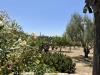 Villa in vendita con giardino a Modica in contrada pirato cava maria 37 - 03, 11