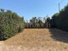 Villa in vendita con giardino a Siracusa in via blanco 4 - 06, 7c970828-6f66-4f7d-a844-1df748505893