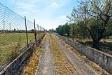 Terreno Agricolo in vendita a Motta Sant'Anastasia in via margarone 5 - 04, Terreno Motta S.A (4).jpg