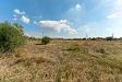 Terreno Agricolo in vendita a Motta Sant'Anastasia in via margarone 5 - 05, Terreno Motta S.A (7).jpg