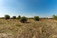 Terreno Agricolo in vendita a Motta Sant'Anastasia in via margarone 5 - 06, Terreno Motta S.A (8).jpg