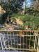 Appartamento in vendita con giardino a Vezzano Ligure - 10, IMG_0976.jpg