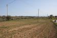 Terreno in vendita a Massignano - 05