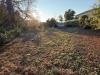 Villa in vendita con giardino a Costa di Rovigo - 03, WhatsApp Image 2025-10-22 at 10.53.48 (5).jpeg
