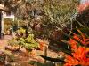 Appartamento in vendita con giardino a Capalbio in via roma 25 - 04, Foto 4