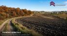 Terreno Agricolo in vendita a San Miniato in via bassa localit marzana - 10, Foto 10