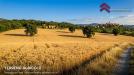 Terreno Agricolo in vendita a Lajatico in localit piano delle canneta - 03, Foto 3
