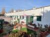 Villa in vendita da ristrutturare a Ardea in via coghinas 4 - 10, Foto 10