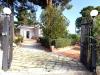Villa in vendita con giardino a Trabia - 02, WhatsApp Image 2024-04-06 at 08.50.20.jpeg
