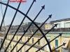 Appartamento bilocale in vendita a Napoli in via cesare rosaroll - 08, Foto 8