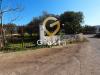 Casa indipendente in vendita con giardino a Ostuni in contrada molillo sn - 02, Foto 2