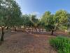 Villa in vendita con giardino a Carovigno in strada pezze d'arena 6 - 03, Foto 3