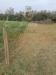 Terreno Agricolo in vendita a Brindisi in via vega snc - 06, Foto 6