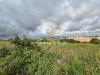 Terreno Agricolo in vendita a Brindisi in contrada palmarini snc - 03, Foto 3