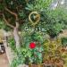 Villa in vendita con giardino a San Vito dei Normanni in cda zambardo - 10, Foto 10