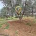 Villa in vendita con giardino a San Vito dei Normanni in cda zambardo - 09, Foto 9