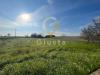 Terreno Agricolo in vendita a Brindisi in strada per restinco - 04, Foto 4