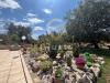 Villa in vendita con giardino a Ceglie Messapica in c.da palagogna sn - 09, Foto 9