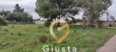 Terreno Agricolo in vendita a Manduria in via del mirto sn - 04, Foto 4
