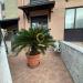 Appartamento in vendita con giardino a Latiano in giovanni scarafile 16 - 06, Foto 6