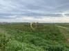 Terreno Agricolo in vendita a Brindisi in contrada taverna sn - 02, Foto 2