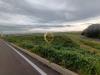 Terreno Agricolo in vendita a Brindisi in contrada taverna sn - 05, Foto 5