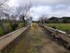 Terreno Agricolo in vendita a San Vito dei Normanni in contrada santa caterina sn - 10, Foto 10