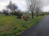 Terreno Agricolo in vendita a San Vito dei Normanni in contrada santa caterina sn - 04, Foto 4