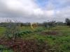 Terreno Agricolo in vendita a San Vito dei Normanni in contrada santa caterina sn - 07, Foto 7