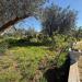 Villa in vendita con giardino a Latiano in contrada tanusci - 10, Foto 10