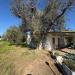 Villa in vendita con giardino a Latiano in contrada tanusci - 03, Foto 3