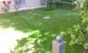 Appartamento monolocale in affitto con giardino a Castelfiorentino - 06, Foto 6