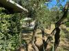 Terreno Agricolo in vendita a Lastra a Signa in via di carcheri - 10, Foto 10