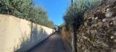 Appartamento in affitto con giardino a Firenze in via dell'osservatorio 13 - 02, Foto 2