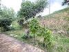 Appartamento in affitto con giardino a Pianoro in via poggio maggiore 2 - vecchio - 04, TRILOCALE CON GIARDINO (4).jpg
