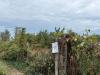 Terreno Edificabile in vendita a Marcianise in via norcia - 05, Immagine WhatsApp 2025-09-23 ore 11.54.14_9c45cdda