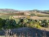 Terreno Agricolo in vendita a Valderice - 02, 22000 vista da alto.jpg