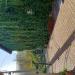 Casa indipendente in vendita con giardino a Corniglio in localit ghiare superiorie - 02, 20231028_100236.jpg