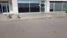 Locale commerciale in affitto da ristrutturare a Parma in strada san donato 4 - san lazzaro - 04, 20230926_113621.jpg