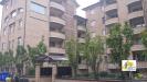 Appartamento bilocale in affitto con box doppio in larghezza a Parma in via novara 1 - citt� nord - 02, 20141010_105828.jpg