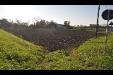 Terreno Agricolo in vendita a Parma in strada san rocco - frazioni - delegazioni - 02, DSC_0106.JPG