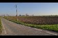 Terreno Agricolo in vendita a Parma in strada san rocco - frazioni - delegazioni - 06, DSC_0111.JPG