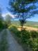Terreno Agricolo in vendita da ristrutturare a Berceto in localit� molinelli 59 - 03, 4