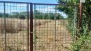 Terreno Agricolo in affitto a Giugliano in Campania - 04, WhatsApp Image 2026-01-24 at 11.17.19 (2).JPG